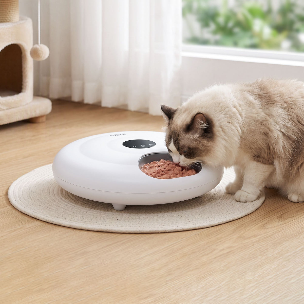 i.Pet Automatic Cat Feeder Wet & Dry Food 6 Compartments Per 150ml WiFi White.