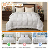 Giselle Bedding Wool Quilt 500GSM Thick King Winter Doona Baffle Box Construction 100% Wool Filling