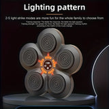 Boxing Training Kit With Reactive Led Wall Punching Target