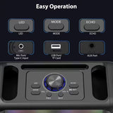 Portable Karaoke Speaker with 2 Wireless Microphones