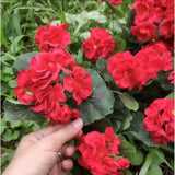 Artificial Flowers Red