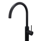 Matt Black Indoor Bathtub Filler Free Standing Mixer Faucet Tap Spout Watermark
