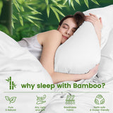 4 Piece Ultra Soft Bamboo Breathable Sheet Set -Hotel 2000TC Breathable Bed Sheets Set with 37 Centimetre Deep Pocket-Breathable Sheets for Hot Sleepers(White,Queen)