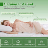 800GSM Mattress Topper Viscose Derived from Bamboo, Thick Pillowtop Fitted Mattress Cover with 45cm Deep Skirt - Machine Washable Hypoallergenic(King,Green)
