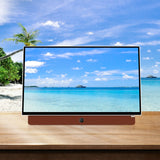 SKYWORTH 24-Inch 12V Portable TV,3-Hour Battery,1080P FHD,Wide Viewing Angle,Smart Google TV, HDR10, Dolby Audio, LED, Bluetooth, Chromecast and Google Assistant