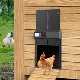 Automatic chicken coop door, weatherproof.