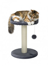 CARLA HOME hanging cat scratching posts.