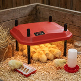 CARLA HOME Chick Brooder Heating Plate - Adjustable Height - Red - Chicken Heater