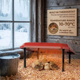 CARLA HOME Chick Brooder Heating Plate - Adjustable Height - Red - Chicken Heater