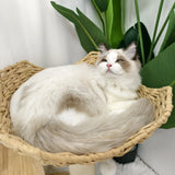 Large Cat Scratching Post Tree Tower with Baskets and Cubby Cave in Natural Wood & White, 60x40x99cm