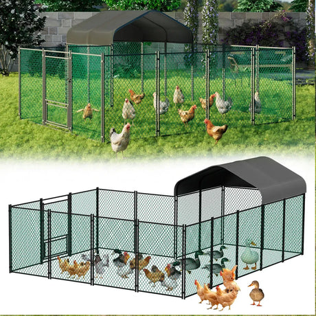 Hen chicken run coop, 304.8 x 396.24 cm.