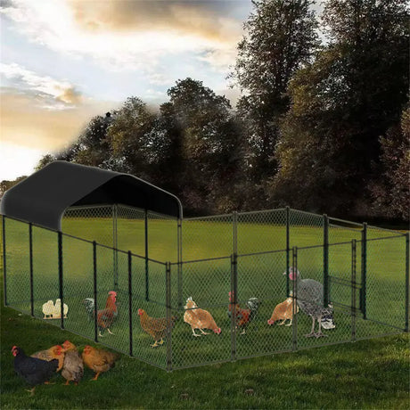 Hen chicken run coop, 304.8 x 396.24 cm.