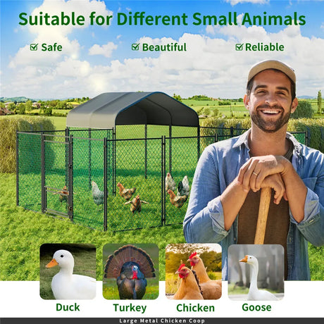 Hen chicken run coop, 304.8 x 396.24 cm.