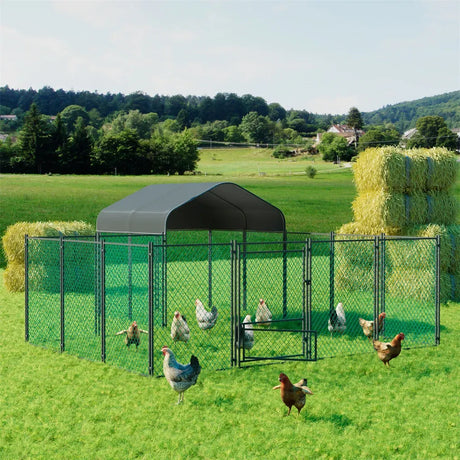 Hutch black chicken coop, 300x200x270cm.