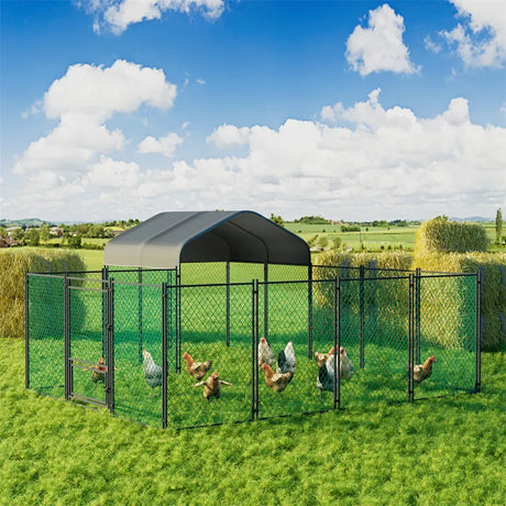 Hutch black chicken coop, 300x200x270cm.