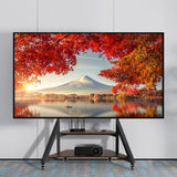 Adjustable Floor TV Stand for 40-75" LCD LED