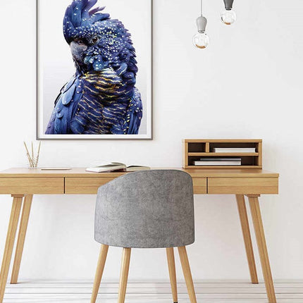 Wall Art 50cmx70cm Black Cockatoo A Black Frame Canvas