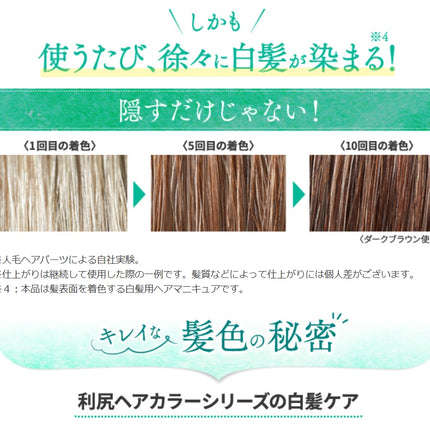 [6-PACK] Rishiri Kombu White Hair Hair Dye Stick 20g Dark Brown