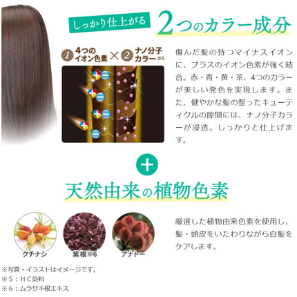 [6-PACK] Rishiri Kombu White Hair Hair Dye Stick 20g Dark Brown