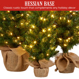 Christabelle Set of 3 Pre-Lit Christmas Trees Green Pine w/LED Lights, Hessian Base & Individual Plugs Varying Heights