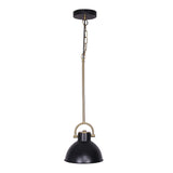 Black pendant light.