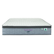 V242-V242-ARIEL-VITA-BB-K-202503141210