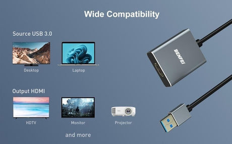 BENFEI HDMI adapter.