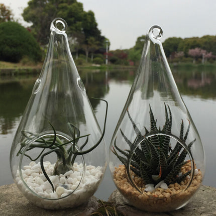 10 Pack of Hanging Clear Glass Tealight Candle Holder Tear Drop Pear Hour Glass Shape - 20cm High Terrarium Plant Mini Garden Holder Decoration Craft Gift