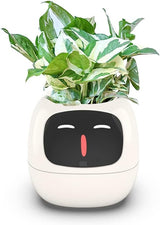 White intelligent flower pot.