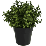 Small Potted Artificial Buxus Plant UV Resistant 20cm