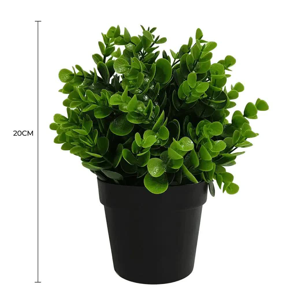 Small Potted Artificial Peperomia Plant UV Resistant 20cm