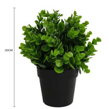 Small Potted Artificial Peperomia Plant UV Resistant 20cm