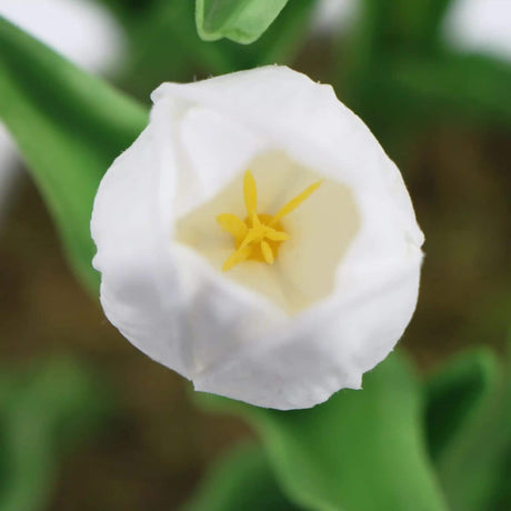 White ceramic artificial tulip plant, 35cm.