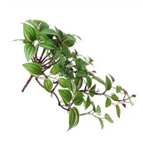 Artificial Hanging / Draping Wandering Jew 42cm
