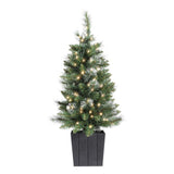 Potted Christmas tree 90cm tall.