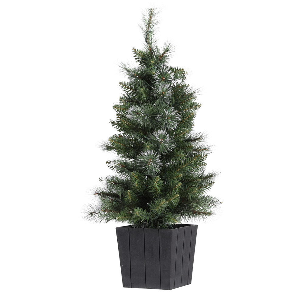 Another view of the 90cm potted tree, needing no tools.