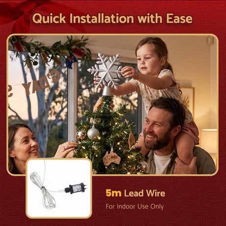 The silver star tree topper, for indoor use.