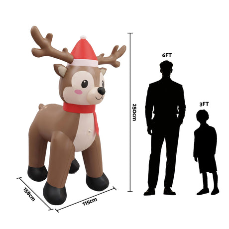 Another view of the inflatable reindeer, mains powered with a transformer.