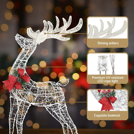 Another view of the two lit reindeer, running on low voltage.