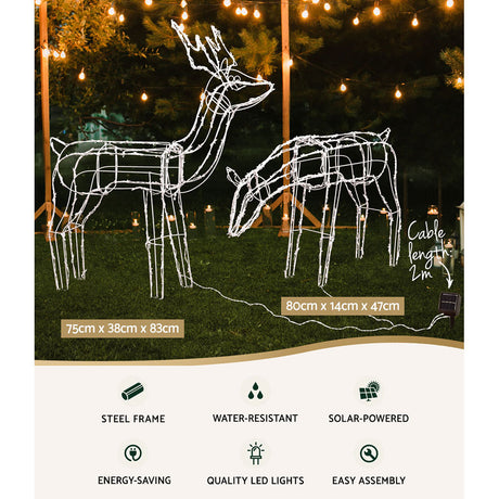 Another view of the two lit reindeer, mains powered with a transformer.