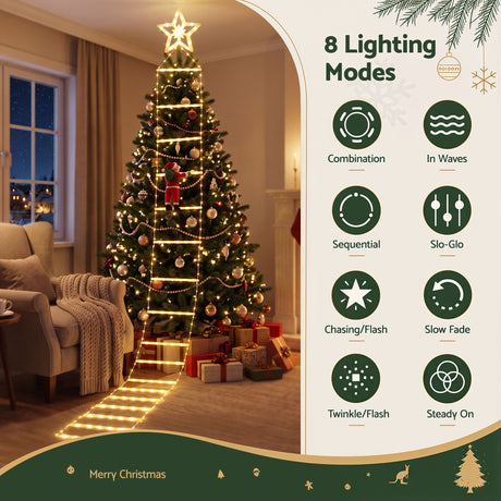 The 3.4m Santa ladder lights shown again, with a built-in timer.