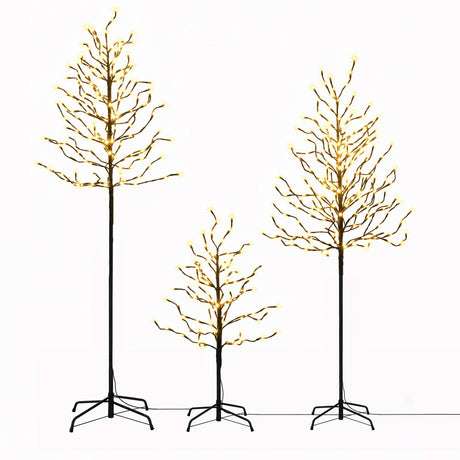 The three lit birch trees shown again, mains powered with a transformer.