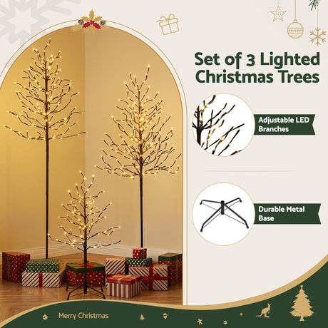 Three lit birch trees, mains powered with a transformer.