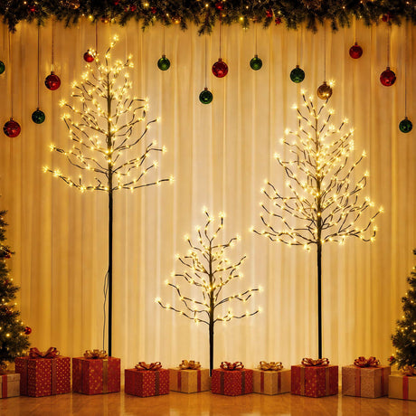 Further view of the three lit birch trees, arriving pre-lit.