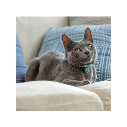 Purina Total Care Blue Everyday Cat Collar