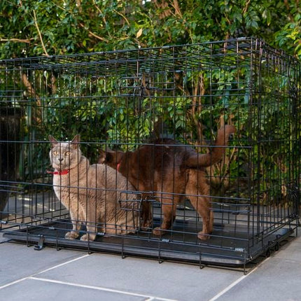 RapidMesh 56 x 63 x 91cm Two Door Pet Carrier