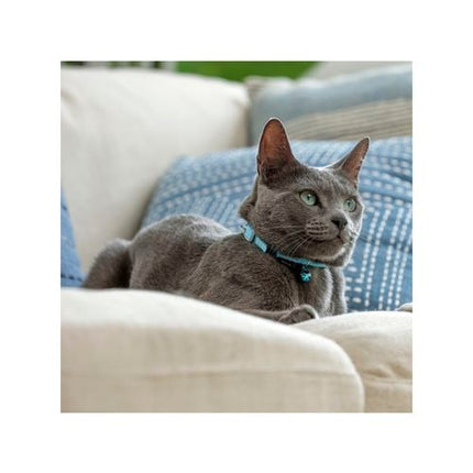 Purina Total Care Blue Everyday Cat Collar