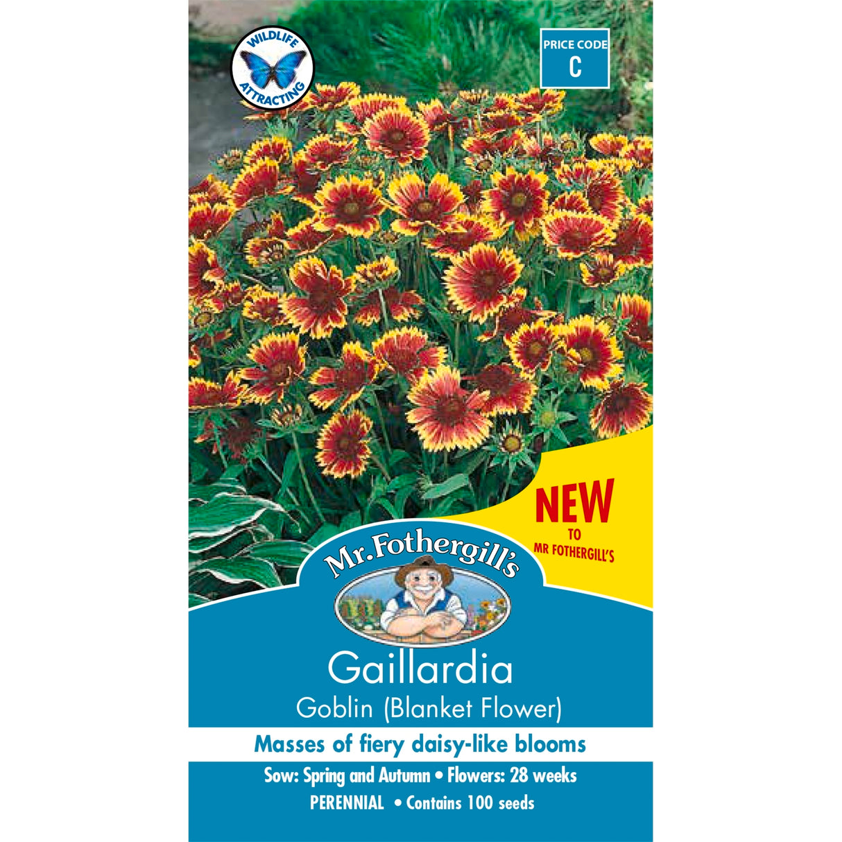 Mr Fothergill's Gaillardia Goblin Seeds