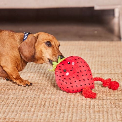 Happy Tails Plush Strawberry With Rope