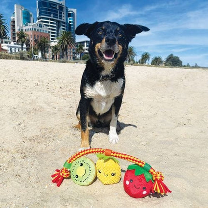 Baxter Bone Summer Fruits On A Rope Pet Toy